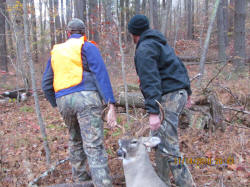 Kentucky deer hunting, western kentucky deer hunting, deer hunting, hunting, archery, Whitetail deer hunting, west ky whitetail hunting, kentucky whitetail outfitters, boone & crocket, food plots, deer food plots, chickory plots, lodging